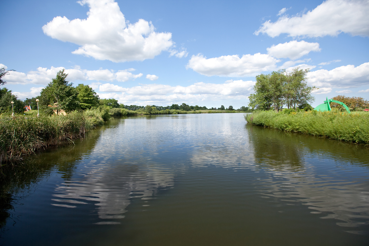 Program Biology, B.S. Governors State University Modern Campus
